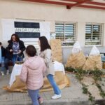 Día de Andalucía IES Hiponova