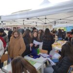 Día de Andalucía IES Hiponova
