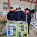 Día de Andalucía IES Hiponova