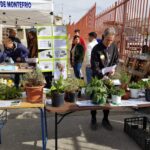 Día de Andalucía IES Hiponova