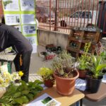 Día de Andalucía IES Hiponova